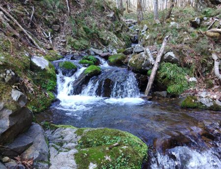 渓流ルアーシーズン開幕 ～長良川水系～